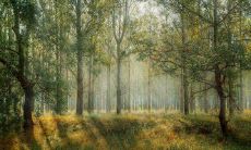 正月初一子时出生的男孩，其性格特点将如何影响他的命运走向？