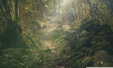 在2022年1月，哪天出生的宝宝是最理想的选择？