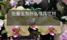揭示张曼玉情感波折和遭遇的原因以及经历的艰辛:深度解读张曼玉为何情路坎坷?