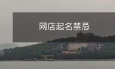 网上商家起名时需避免的禁忌之处及其影响分析