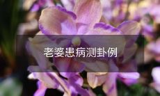 丈夫为治疗妻子病情进行卦象测算的真实故事