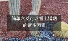 通过简单的六爻占卜,揭示婚姻中涉及的多重因素