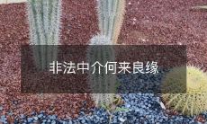 非法中介如何借助不正当手段牟取不义之财,同时却能给客户创造良缘?