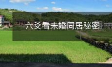 使用六爻算命法揭开未婚同居的神秘面纱