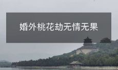 糟糕的婚外风流韵事:彻底无情且不可挽回
