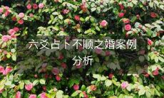 细致探究六爻占卜中婚姻案例不顺现象的分析与研究