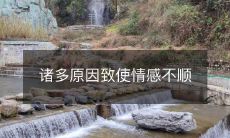 诸多难以克服的因素导致我们的情感生活不够流畅与和谐：浪漫期后的经济压力、社会比较的焦虑、感情受挫的伤痛等种种挑战