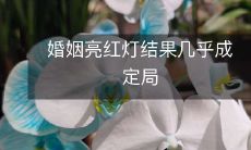 婚姻处于红灯状态，根据目前情况，将几乎不可避免地导致婚姻终止