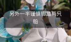 面对两个选择,另一半应该谨慎不要脚踏两只船而导致伤痕累累的感情破裂