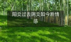 从阳爻到阴爻,情感断裂:探讨变化之间的转变与影响