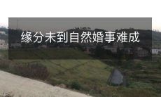 当时机未到时,尽管适宜,自然的婚姻关系难以实现