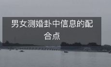 男女测婚卦所需充分配合的各个信息点及其重要性分析