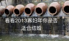 探究2013年寡妇年的婚恋市场，评估您是否在这个时代适合步入婚姻殿堂