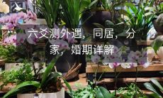 六爻卜算揭秘外遇、同居、分家以及婚期的详细信息