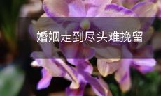 婚姻在走向尽头时,如何挽救亡羊补牢?