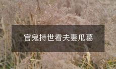 官员为何会插手夫妻间的事务？——探讨官鬼持世对瓜葛问题的影响和作用