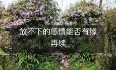 当心病未除的放不下的感情,能否在缘份的安排下得以再续前缘?