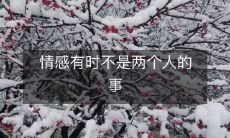 情感并非仅仅来自于两个人的互动,还可能有外在因素的影响