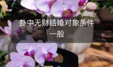 摆脱穷卦沉重的包袱，如何找到理想的结婚对象？