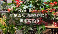 通过周易预测,哪些高素质女性能够成功搭配富有魅力的男士?