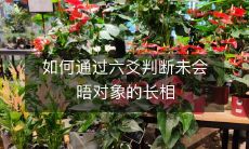 如何运用六爻卜卦法准确推测未遇见的对象面貌特征?