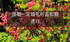 如果婚期已定,是否一定能按照计划进行婚礼呢?