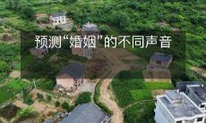 探究“婚姻”话题中不同观点的预测和预期声音