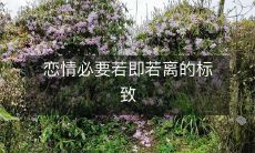 爱情必须保持适度的时机把握和距离掌控的标记