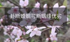 卦断婚姻是否可剪断姻缘根本?探讨其优劣,谨慎决策!