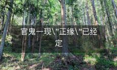 官鬼现身,"正缘"已注定:一个长长的题目