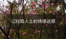 已婚个体的情感备受困扰:矛盾、挣扎和求解途径