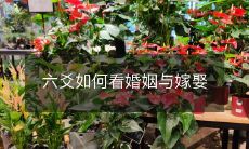 如何利用六爻预测婚姻和嫁娶,通过六爻卜卦解码,探讨婚姻关系的好坏,预测婚姻生活的走向及其影响因素