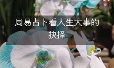 使用周易占卜来指导人生中重大决策:探讨周易占卜在处理个人关键决策中的应用