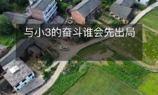 探讨与小三斗争中，谁将首先被淘汰出局的问题