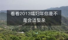 评估一下自己是否适合在2013年娶孀妇为妻