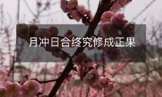 通过月冲日合最终修行达成正果的探究与修行历程