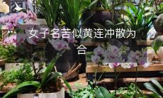 女子痛苦如同黄连,最终崩溃并聚合为一个整体