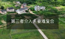 第三者介入导致夫妻关系无法复合的现状及应对之策