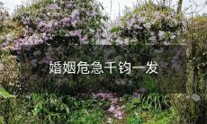 婚姻岌岌可危,千钧一发!