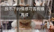 在我们无法抛却的情感中,是否能够有幸再次相逢并继续前行?