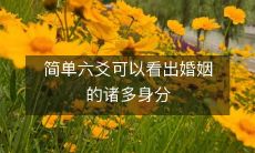 通过简单六爻易学,探究婚姻身份的多样性
