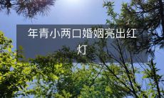 年轻夫妻婚姻出现红灯信号，引人深思