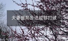 如何打破夫妻间的僵局并达成共识，以维持婚姻和谐？