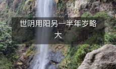 世阴用阳之人作为另一半，年龄上略大一些的情况分析与讨论