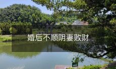 婚后不顺之际,我失去了家庭的主导权,一位女性徒从善良变成阴妻,最终导致家庭财务破产