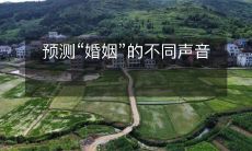 多角度预测“婚姻”未来的声音和观点