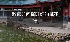 如何运用有效方法,提升自身魅力并吸引更多的缘分,促进桃花运的开展?