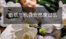 如何应对婚姻危机，走出困境并实现幸福？