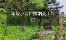 称职的年轻夫妇婚姻生生被撞上亮起闪红警灯的警报信号