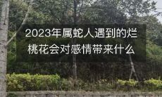 2023年属蛇人面临的烂桃花劫难：探讨其对感情生活所带来的深远影响